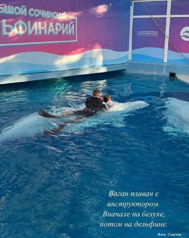 Ваган Петросян плавает с инструктором на дельфине