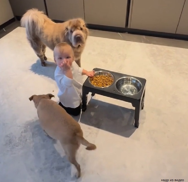 Дочь Ольги Орловой ест собачий корм 