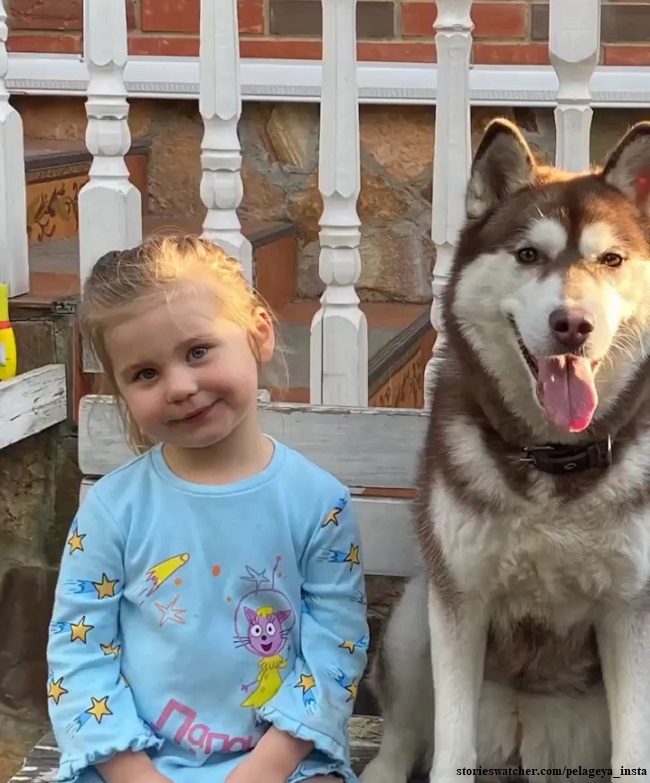 Певица Пелагея показала трогательные отношения  3-летней дочки и собаки Луши 