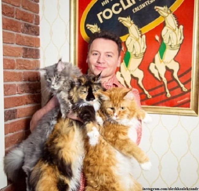 Александр Олешко привел в порядок своих котов, за что его осудили зоозащитники
