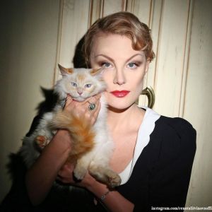Подробнее: Рената Литвинова порадовала поклонников Земфиры ее редким фото с собственным котом