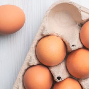 Подробнее: Как хранить яйца, чтобы в них осталось больше витамина D 