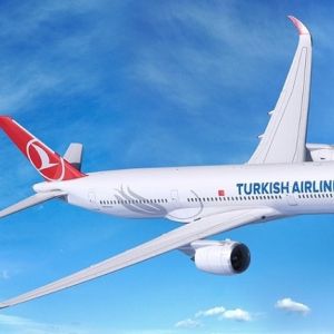 Подробнее: ЧП: Турецкие авиалинии сперли чемоданы россиян 